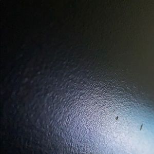 Meet your Posher, Troy